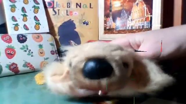 Вопрос - Ответ (1 часть)