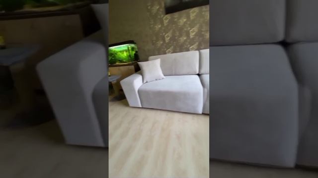 1676494493743.mp4
