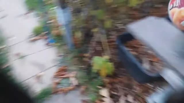 КАК КОРМЛЮ ГОЛУБЕЙ ОСЕНЬЮ, WIE ICH TAUBEN IM HERBST FÜTTERE, HOW I FEED MY PIGEONS - 08.11.2020