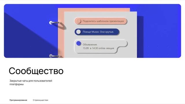Какой язык программирования выбрать новичку? Интенсив по IT-профессиям