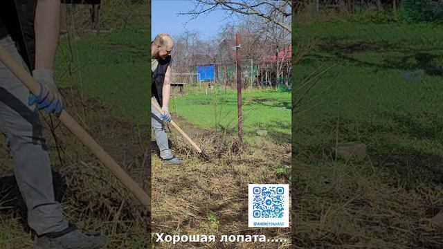 Хорошая лопата №2 #дача #diy #стройка #ремонт #garden #дом #shorts