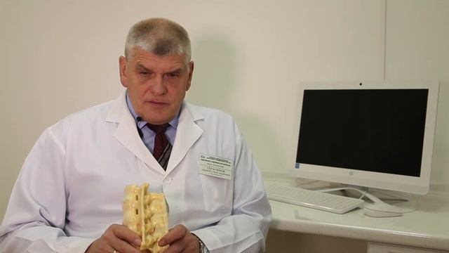 профессор Герасимов А.А. - vtes77.ru