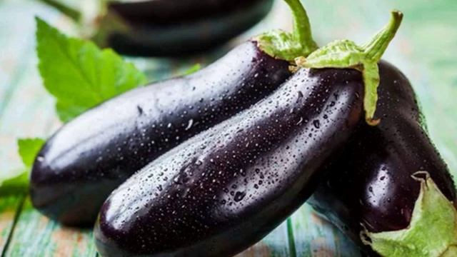 КАКИЕ СОРТА БАКЛАЖАНОВ БЫВАЮТ И ИХ ОПИСАНИЕ