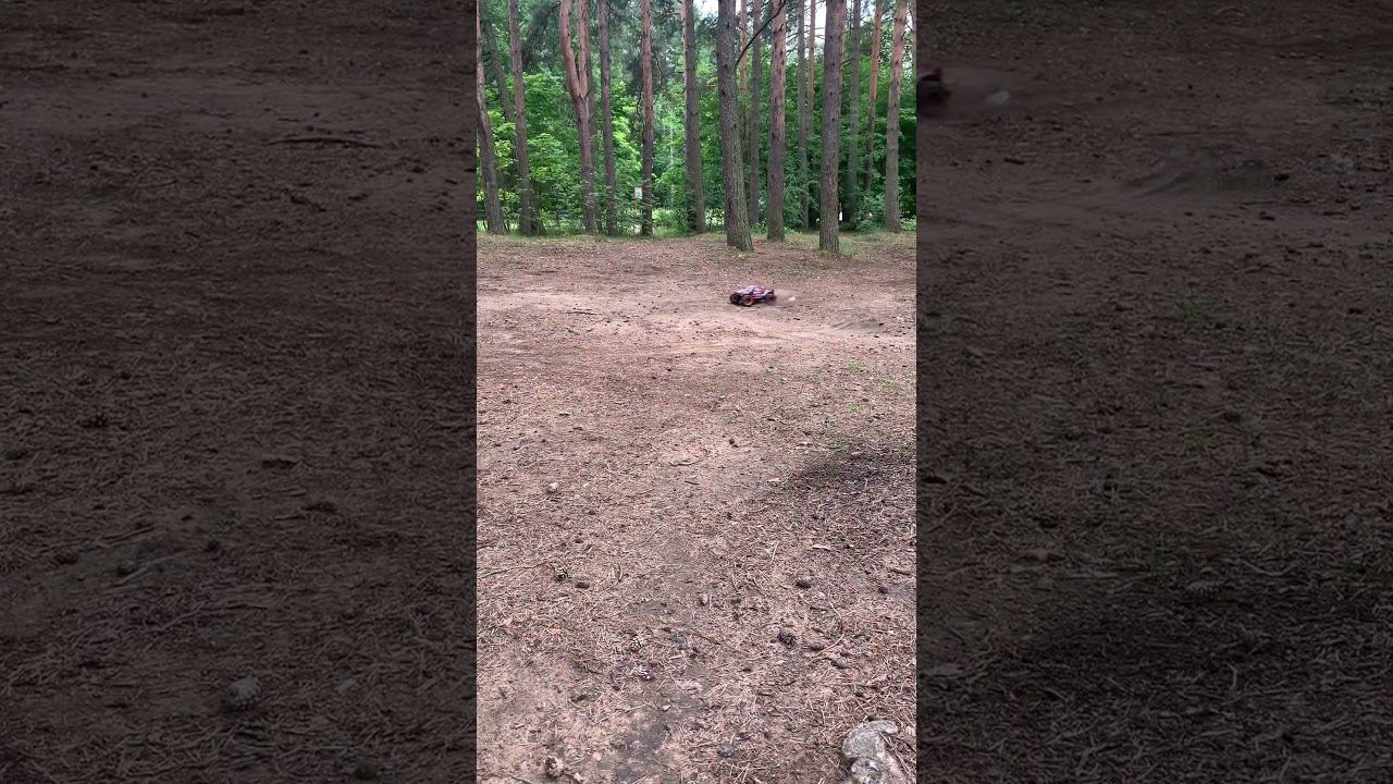 Выезд зверя #automobile