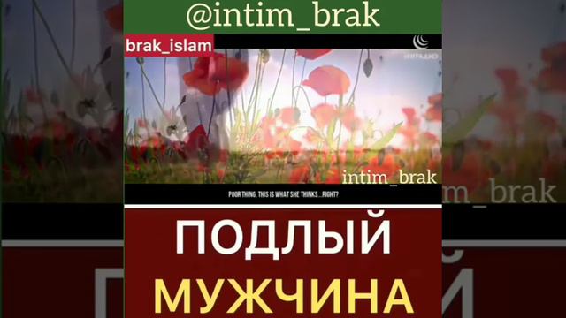 Подлые мужчины