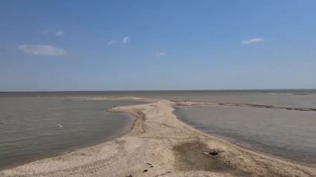 Камышеватская коса станица на берегу Азовского моря памятник природы