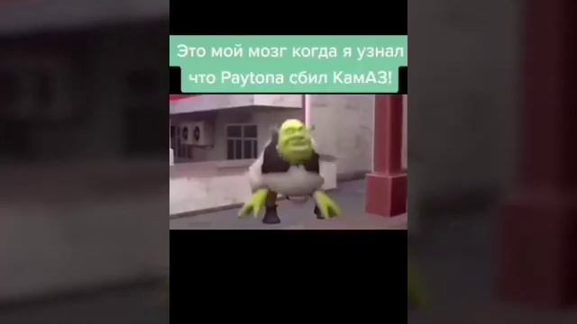 Шрек из тик тока КАКАО КАКАО