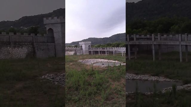Парк львов Прайд в Абхазии, Гудаута.