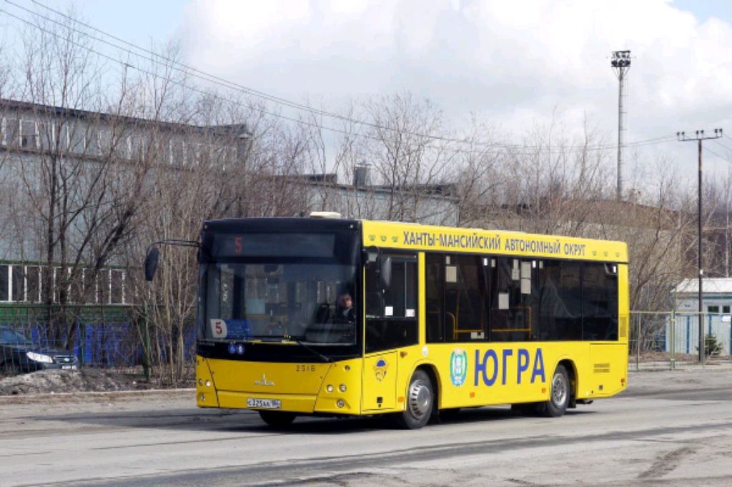 рассказываем о автобусной сети Сургута
