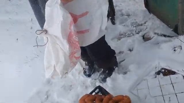 ролик 4