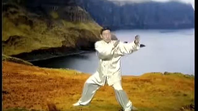 38 чень тайцзи.mp4