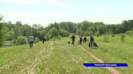 Жители Сормовского района устроили субботник в Копосовской дубраве