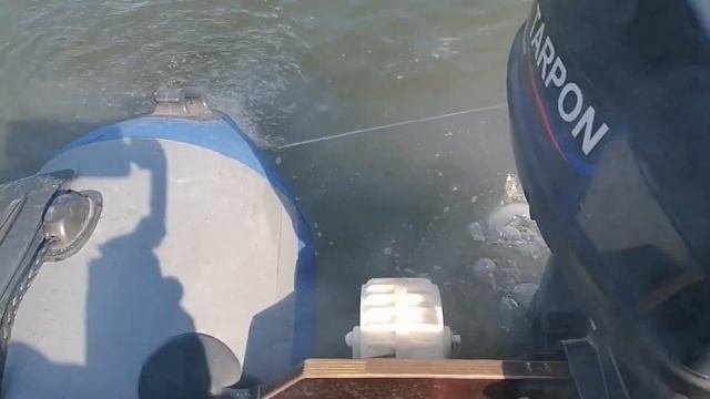 Tarpon 9.9 OTH. Завершение обкатки. Обзор масла Hidea 2T.