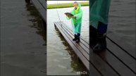 гигантский карп клюет в дождь отпустил гиганта
