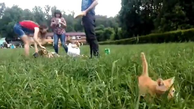 Казахский гость