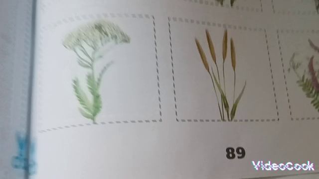 влог с Басиками)/ Басик делает уроки ?