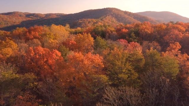 Autumn Relaxing Music Релакс Музыка Осенние Пейзажи