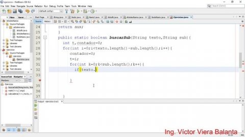 Java Buscar una Subcadena en un Texto con CharAt