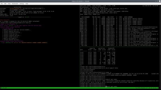 FreeBSD/bhyve-based K8S clusters (tech preview)