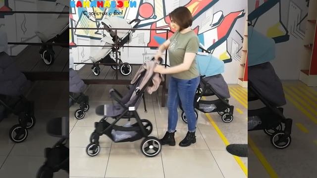 Прогулочная коляска Indigo ASSANA