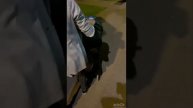 Прошла первая рабочая неделя в Израиле.