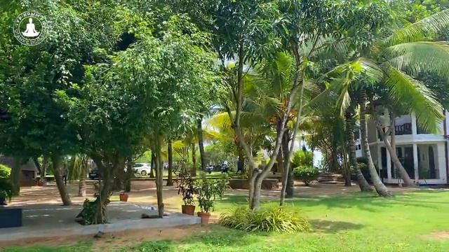 Место проживания в йога-туре на Шри-Ланке — Территория полезного отдыха