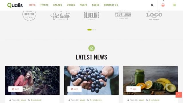 Qualis - Organic Food Responsive eCommerce WordPress Theme