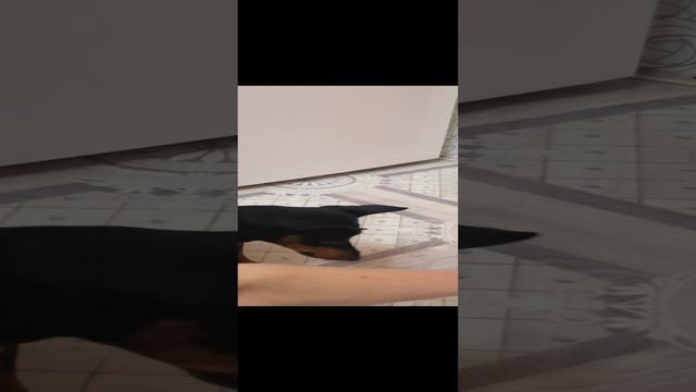 VID_20240314_223121.mp4