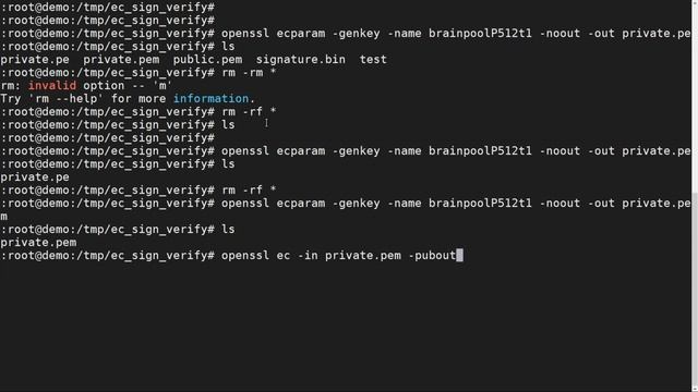 OpenSSL Sing Verify | EC Key | openssl verify signature ecdsa