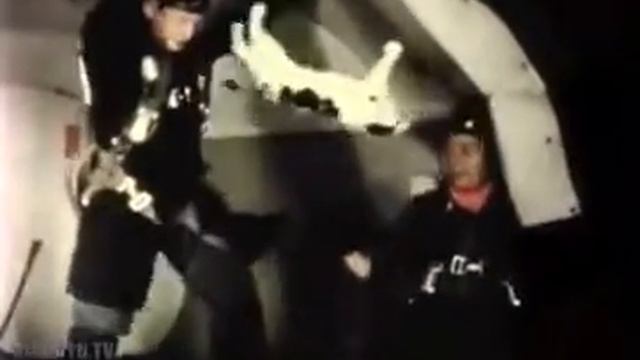 Животные в космосе