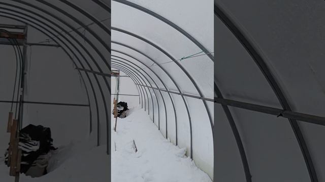 Теплица зимой.