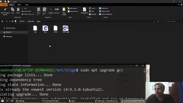 compile & Run .c & .cpp  in WSL with g++ & gcc
