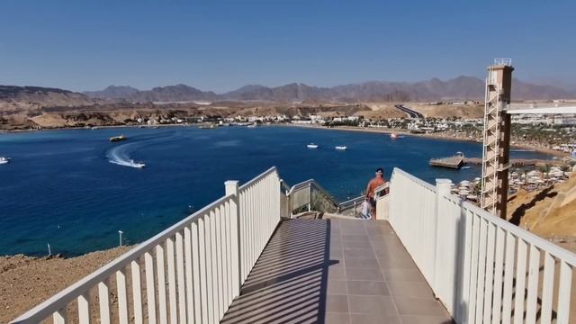 Египет 2024?? ЗНАМЕНИТАЯ четвёрка Albatros Sharm Resort 4*. Все ХОТЯТ в этот ОТЕЛЬ❗️ Шарм-эль-Шейх