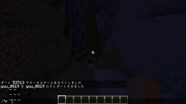 【マイクラ】tpコマンドの使い方！Java版と統合版の仕様の違いを解説！【マインクラフト】