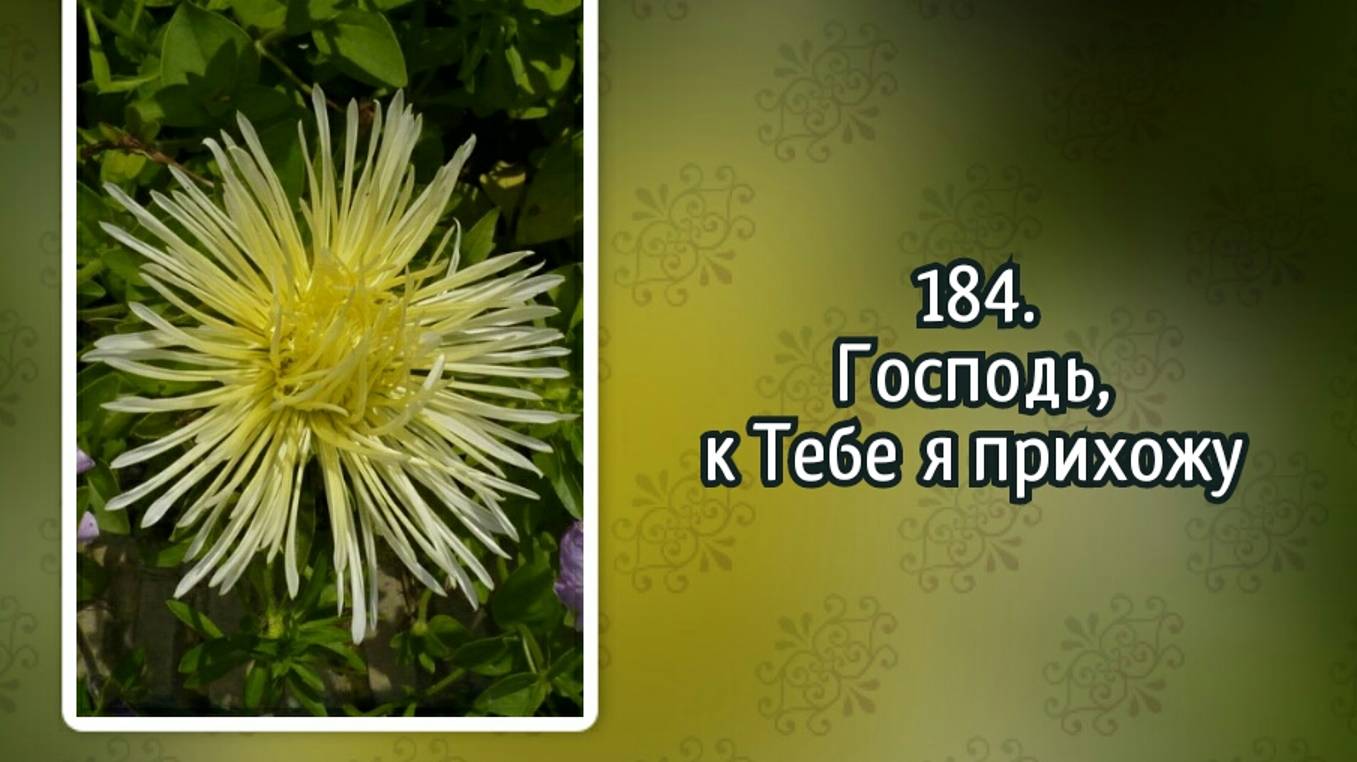 Гимны надежды 184 Господь, к Тебе я прихожу (-)