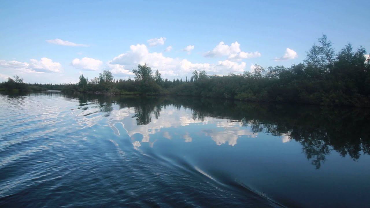 Ловозёрские тундры 2013 020