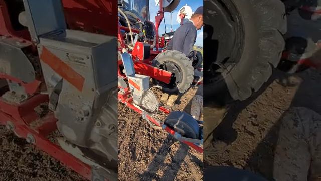 Окончание посева томатов 22.06.2020 г., 18:22 проблема с уплотнительной прокладкой.