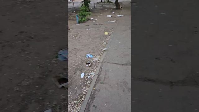 Улицу Новосибирская завалили мусором. 😢