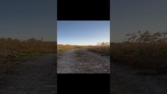 POV: Вы идете по полю к Азовскому морю