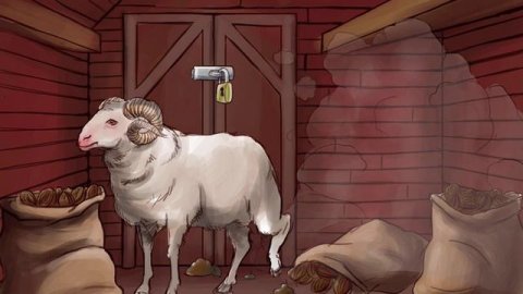 121 — Coxiella burnetii