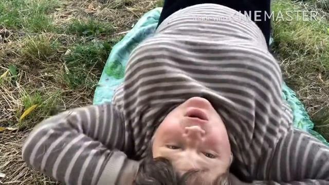 СПОРТ-  СИЛА (ДЛЯ НАЧИНАЮЩИХ) ЕЖЕВИКА И ХОТ- ДОГ- ДОЖДАЛАСЬ/ ЯША- ЗАГУЛЯЛ/ ЗАКУПКА ПРОДУКТОВ