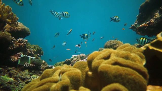Расслабляющая музыка для медитации