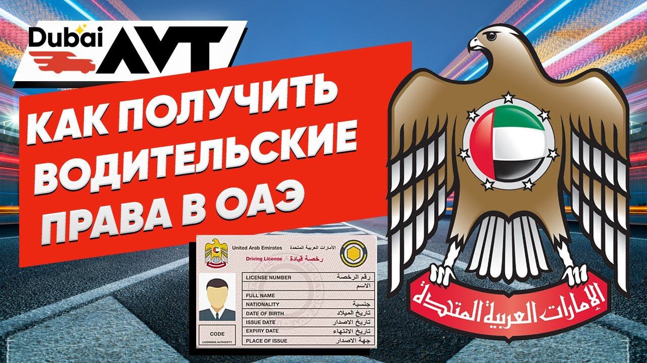 Как получить водительские права в ОАЭ?