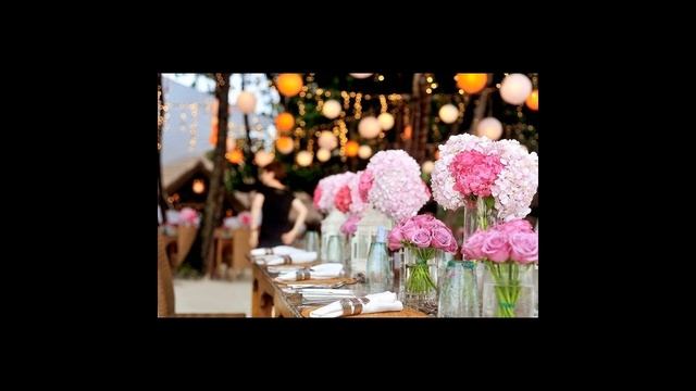 Ведущий или тамада - что выбрать?