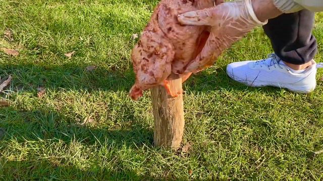 Fried Whole Chicken Under the Bucket! An Easy Way to Prepare a Crispy Dinner