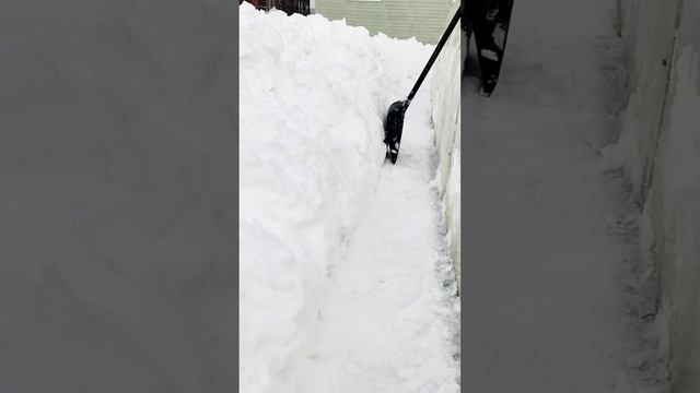 1000056868.mp4