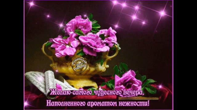 Доброго вечера !