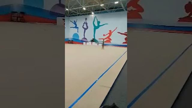Международный спортивный форум'Россия-спортивная держава'Областной турнир по художественной гимнаст