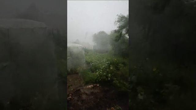 Это настоящий ураган в Усть-Каменогорске
