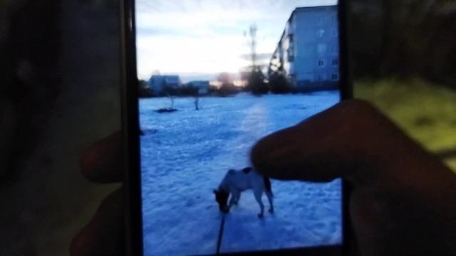 Кинула Юле на телефон читаю свой стих